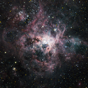 Tarantula Nebula (30 Dor), false color RGB image (r, V, B), created with ZB08 telescope. Credit: Mirek Kicia