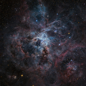Tarantula Nebula (30 Dor), composite image created with JK15 telescope. Credit: Wolfgang Promper