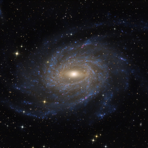 NGC 6744, composite image created with JK15 telescope. Credit: Wolfgang Promper